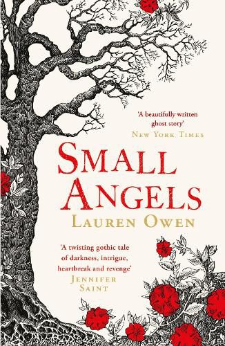 Small Angels: A 'beautifully written modern ghost story' New York Times