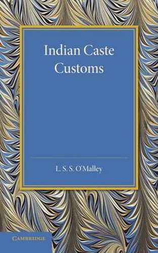 Cover image for Indian Caste Customs