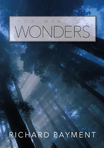 Cover image for For Want of Wonders