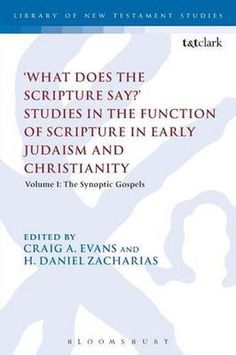 Cover image for What Does the Scripture Say?' Studies in the Function of Scripture in Early Judaism and Christianity: Volume 1: The Synoptic Gospels