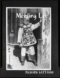 Cover image for MEHLING LEE