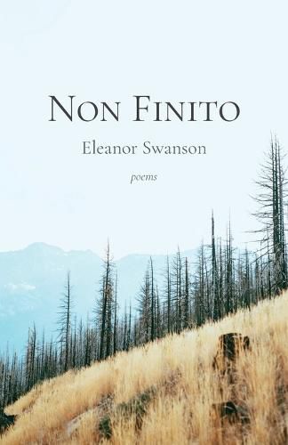 Cover image for Non Finito