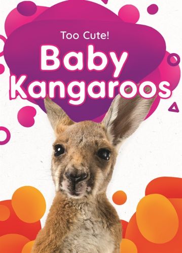 Cover image for Baby Kangaroos