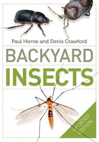 Cover image for Backyard Insects Updated Edition