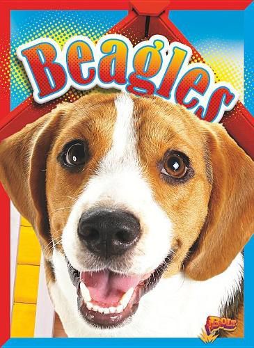 Cover image for Beagles