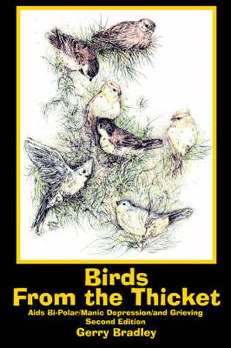 Cover image for Birds From the Thicket