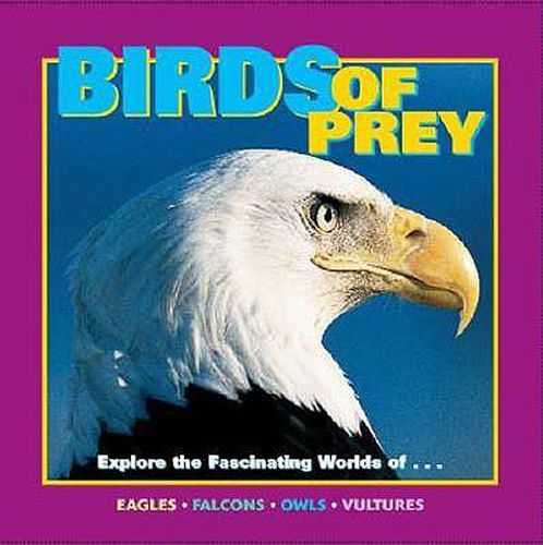 Cover image for Birds of Prey