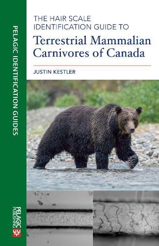 Cover image for The Hair Scale Identification Guide to Terrestrial Mammalian Carnivores of Canada