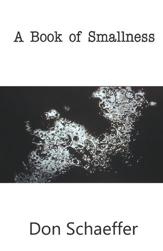 Cover image for A Book of Smallness