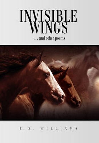 Cover image for Invisible Wings