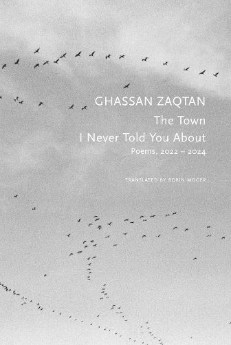 Cover image for The Town I Never Told You About