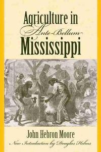 Cover image for Agriculture in Ante-Bellum Mississippi