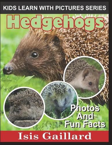 Cover image for Hedgehogs: Photos and Fun Facts for Kids