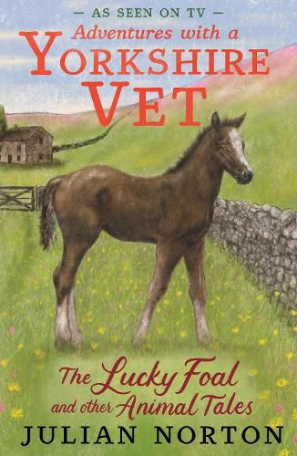 Cover image for Adventures with a Yorkshire Vet: The Lucky Foal and Other Animal Tales