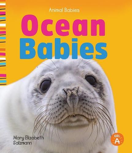 Cover image for Ocean Babies