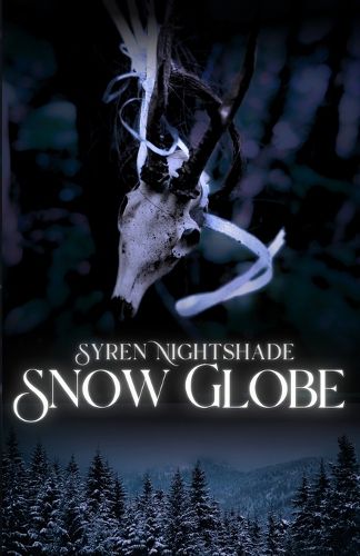 Cover image for Snow Globe