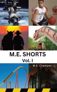 Cover image for m.e. shorts: V.I