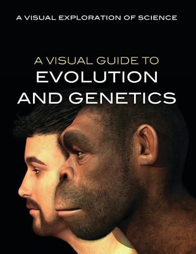 A Visual Guide to Evolution and Genetics