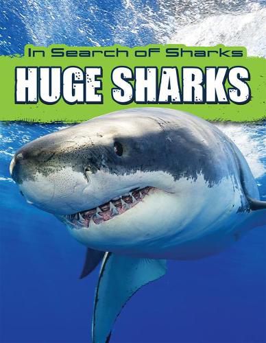 Huge Sharks