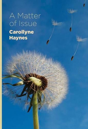 Cover image for A Matter of Issue
