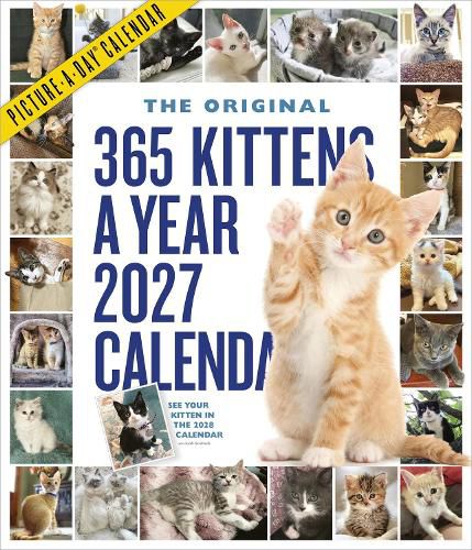 Cover image for 365 Kittens-A-Year Picture-A-Day (R) Wall Calendar 2027