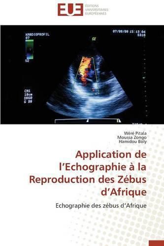 Application de L Echographie   La Reproduction Des Z bus D Afrique