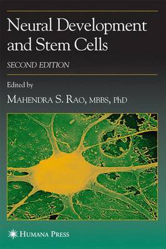 Neural Development and Stem Cells