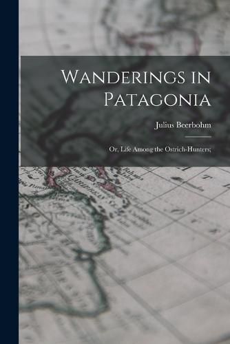 Cover image for Wanderings in Patagonia; or, Life Among the Ostrich-hunters;