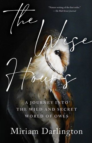 Cover image for Wise Hours