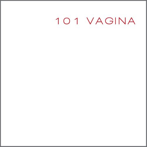 Cover image for 101 Vagina