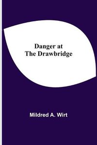 Cover image for Danger at the Drawbridge