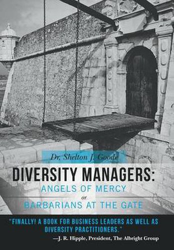 Cover image for Diversity Managers