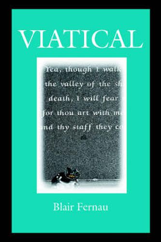 Cover image for Viatical