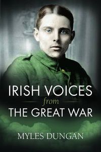 Cover image for Irish Voices from the Great War