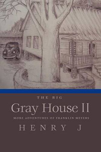 Cover image for The Big Gray House II: More Adventures of Franklin Meyers