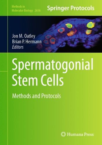 Cover image for Spermatogonial Stem Cells
