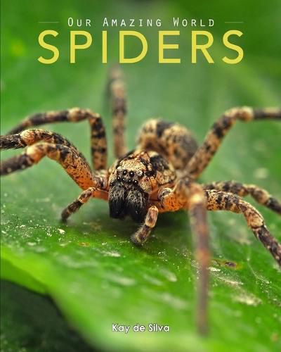 Cover image for Spiders: Amazing Pictures & Fun Facts on Animals in Nature