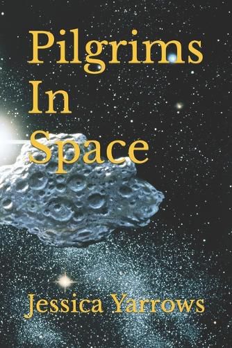 Cover image for Pilgrims In Space