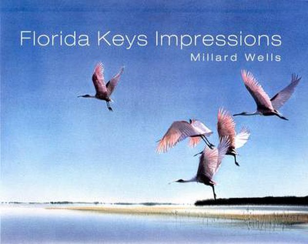 Cover image for Florida Keys Impressions