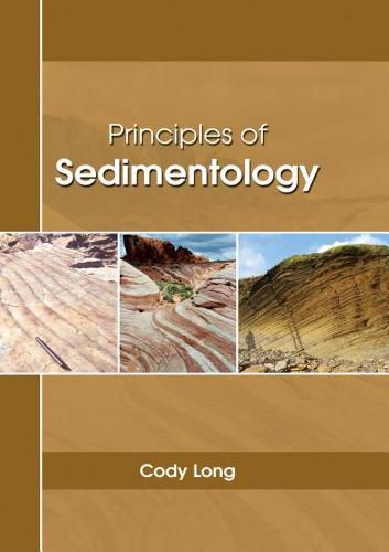 Cover image for Principles of Sedimentology