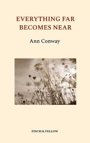 Cover image for Everything Far Becomes Near