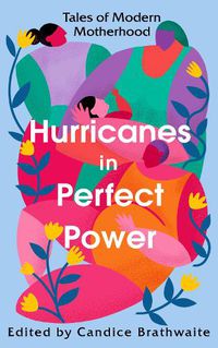 Cover image for Hurricanes in Perfect Power