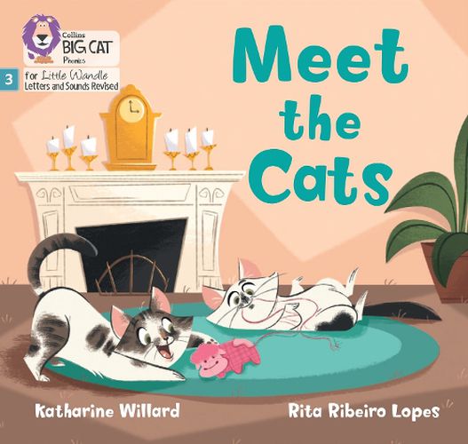 Cover image for Meet the Cats