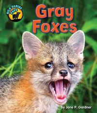 Cover image for Gray Foxes