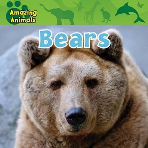 Cover image for Bears