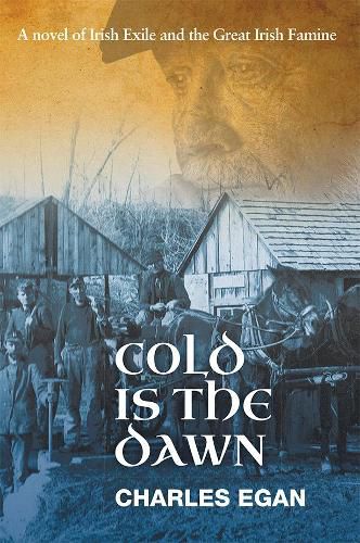 Cover image for Cold is the Dawn: A Novel of Irish Exile and the Great Irish Famine