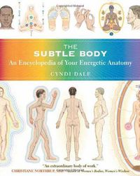 Cover image for The Subtle Body: An Encyclopedia of Your Energetic Anatomy