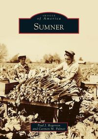 Cover image for Sumner