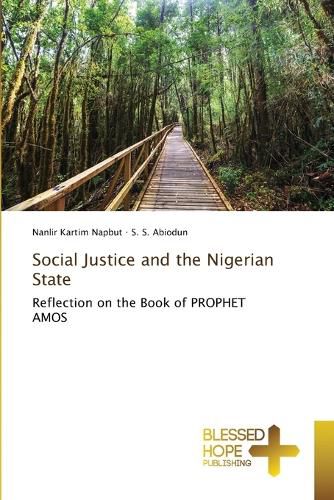 Cover image for Social Justice and the Nigerian State
