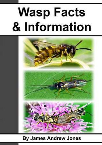 Cover image for Wasp Facts & Information